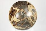 5.6" Crystal Filled, Polished Septarian Sphere - Utah - #200204-3